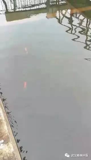 污水处理运营